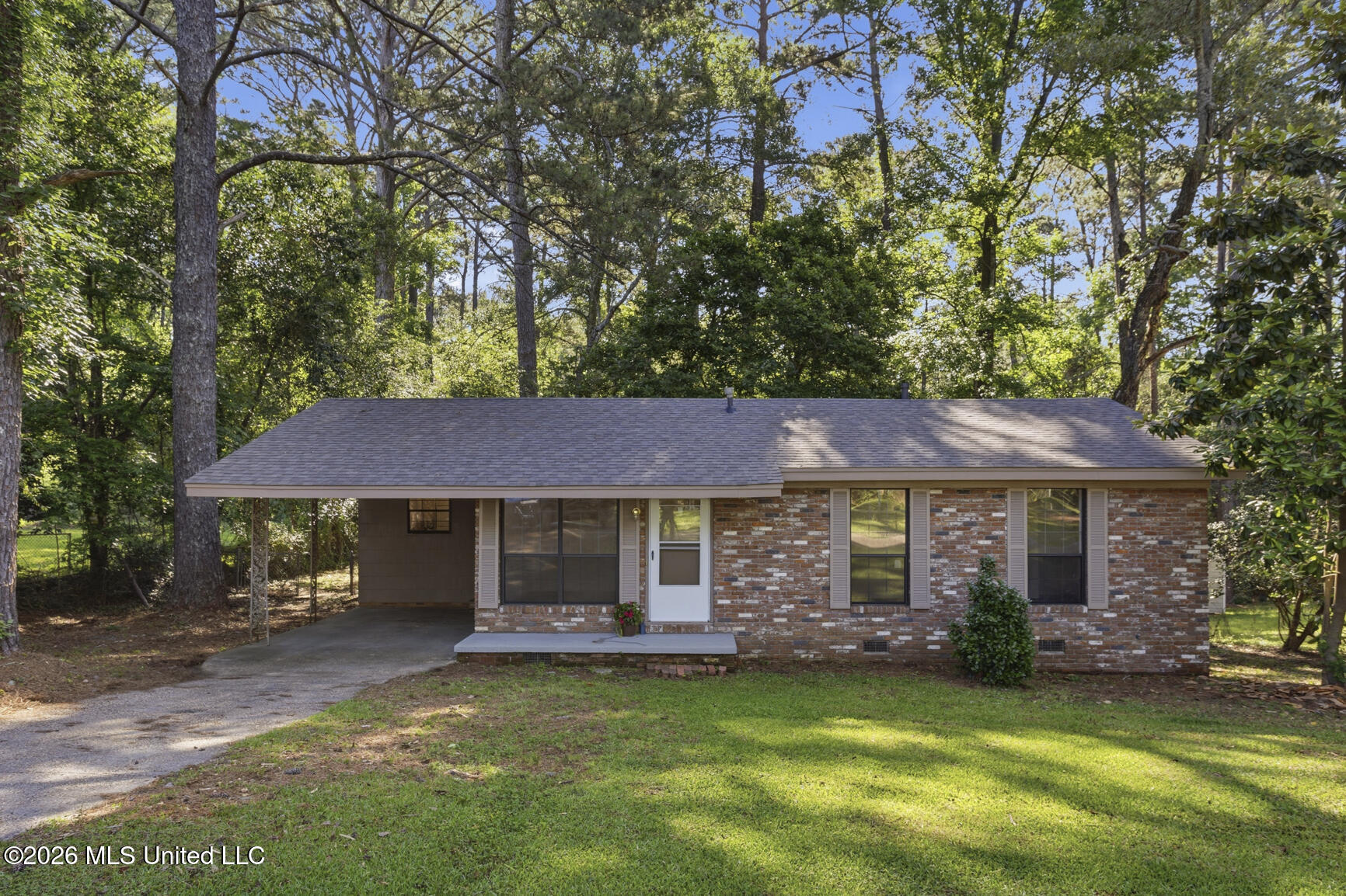 815 Mamie Drive Property Photo 2