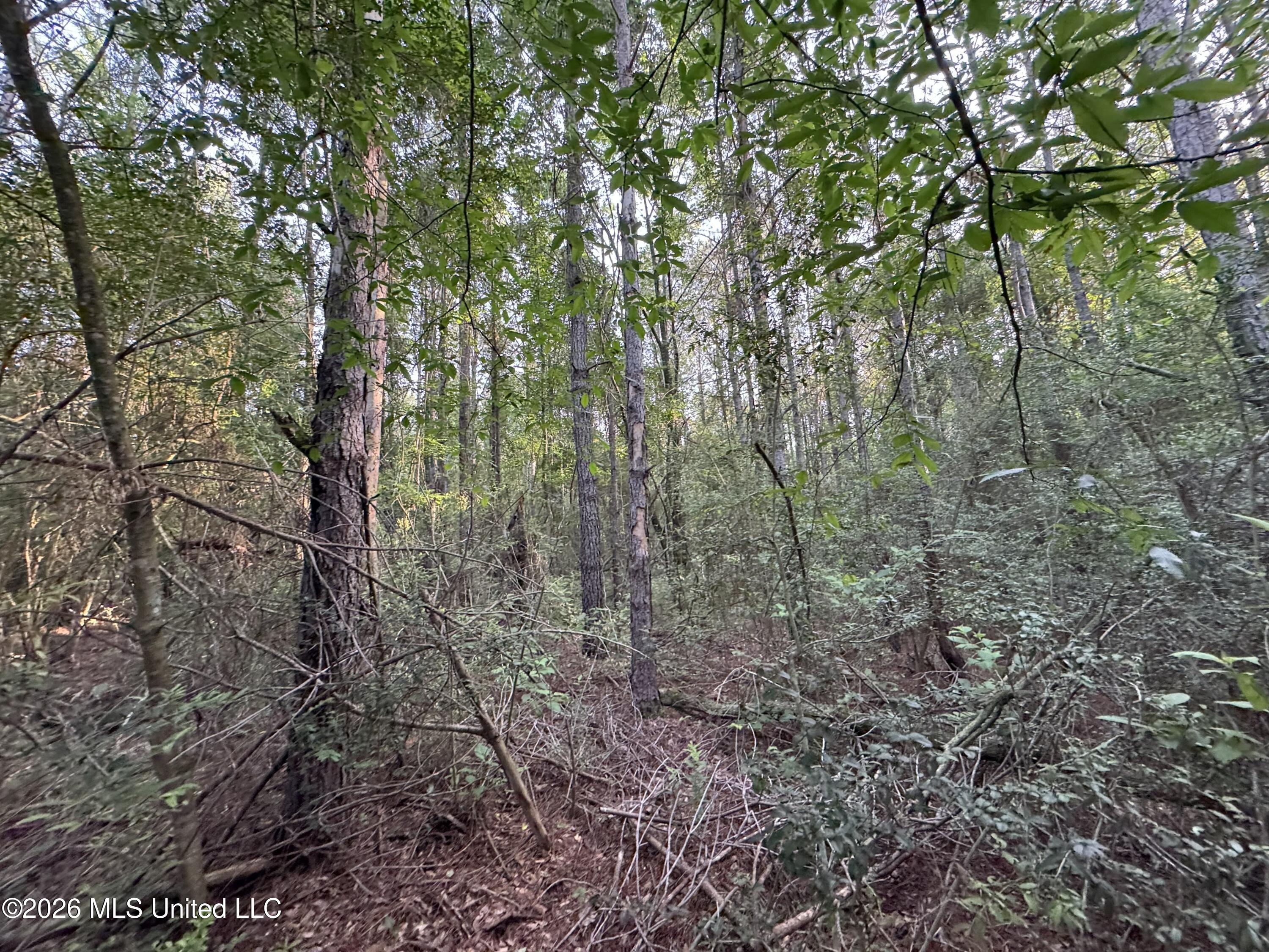 N Lot 2 River Road Property Photo 2