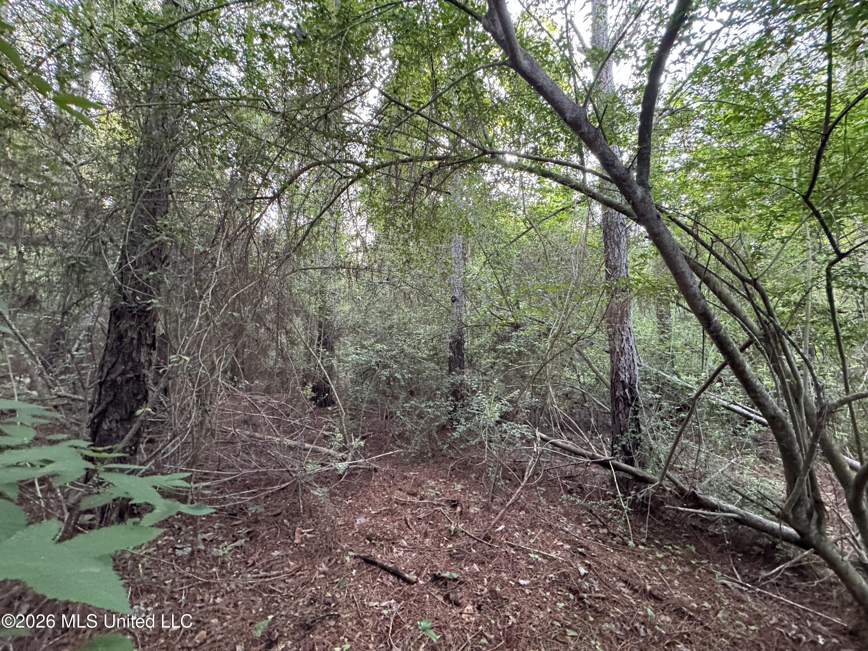N Lot 2 River Road Property Photo 4