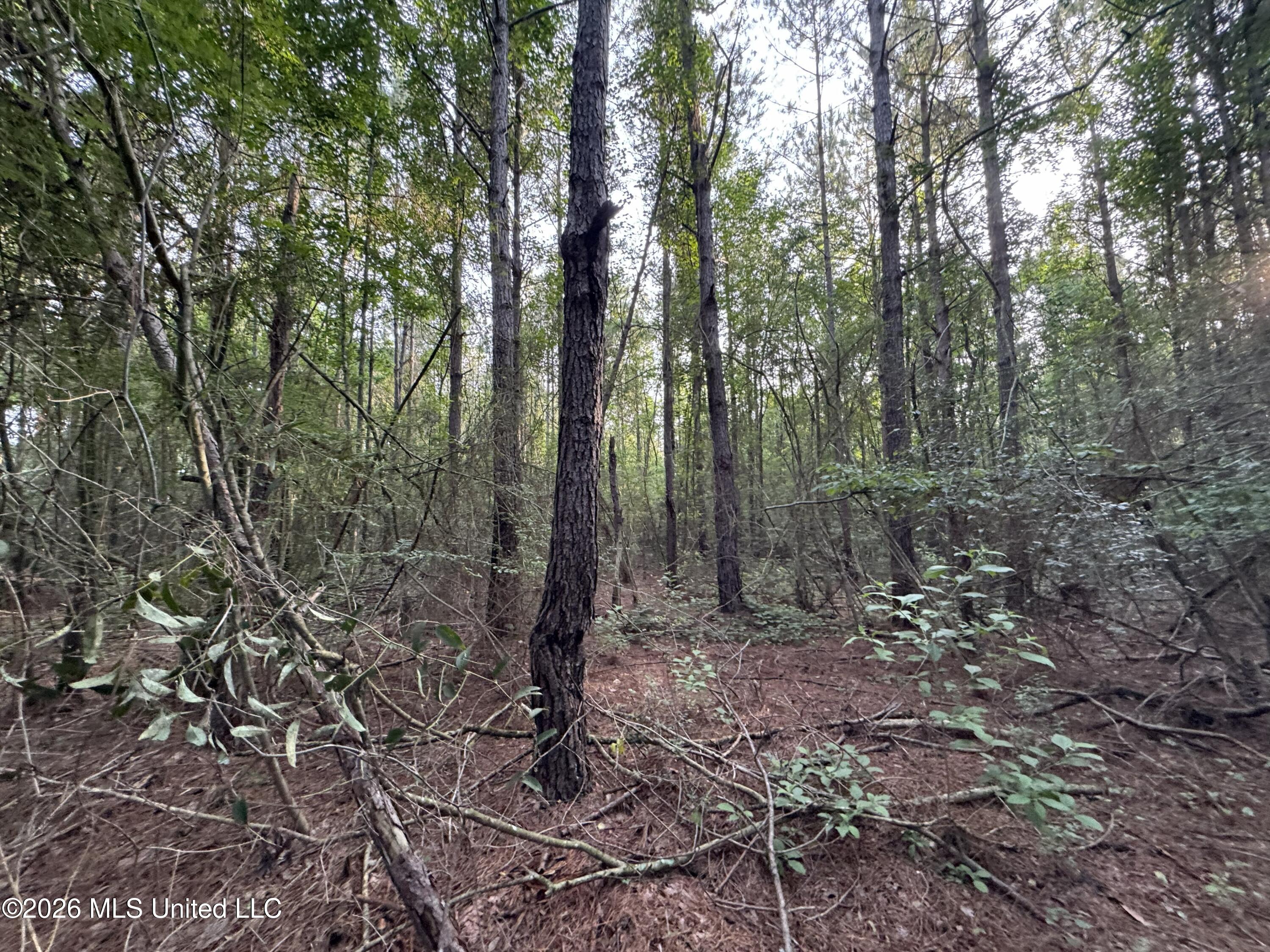 N Lot 2 River Road Property Photo 5