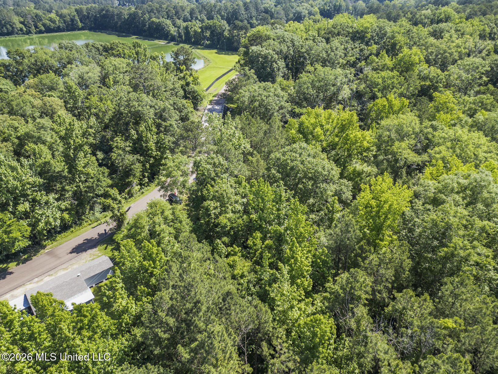 Dixie Avenue Property Photo 2
