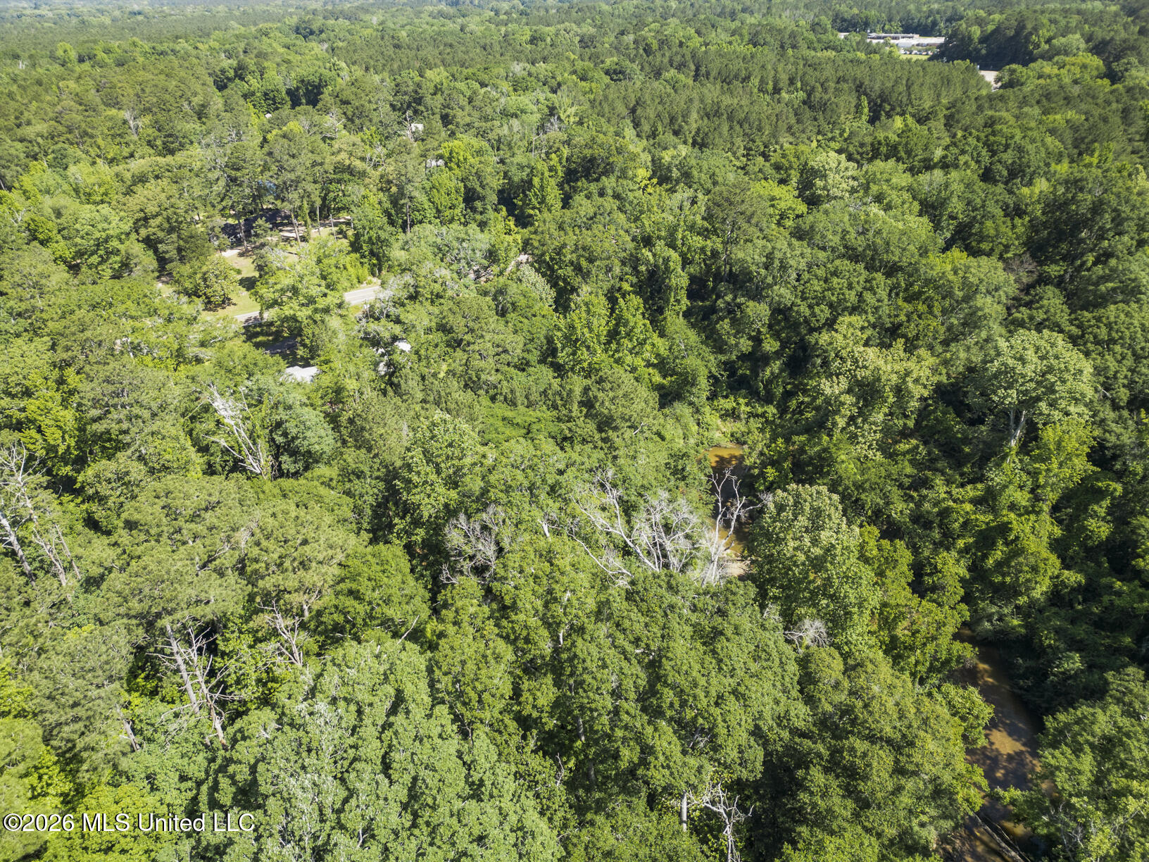 Dixie Avenue Property Photo 3