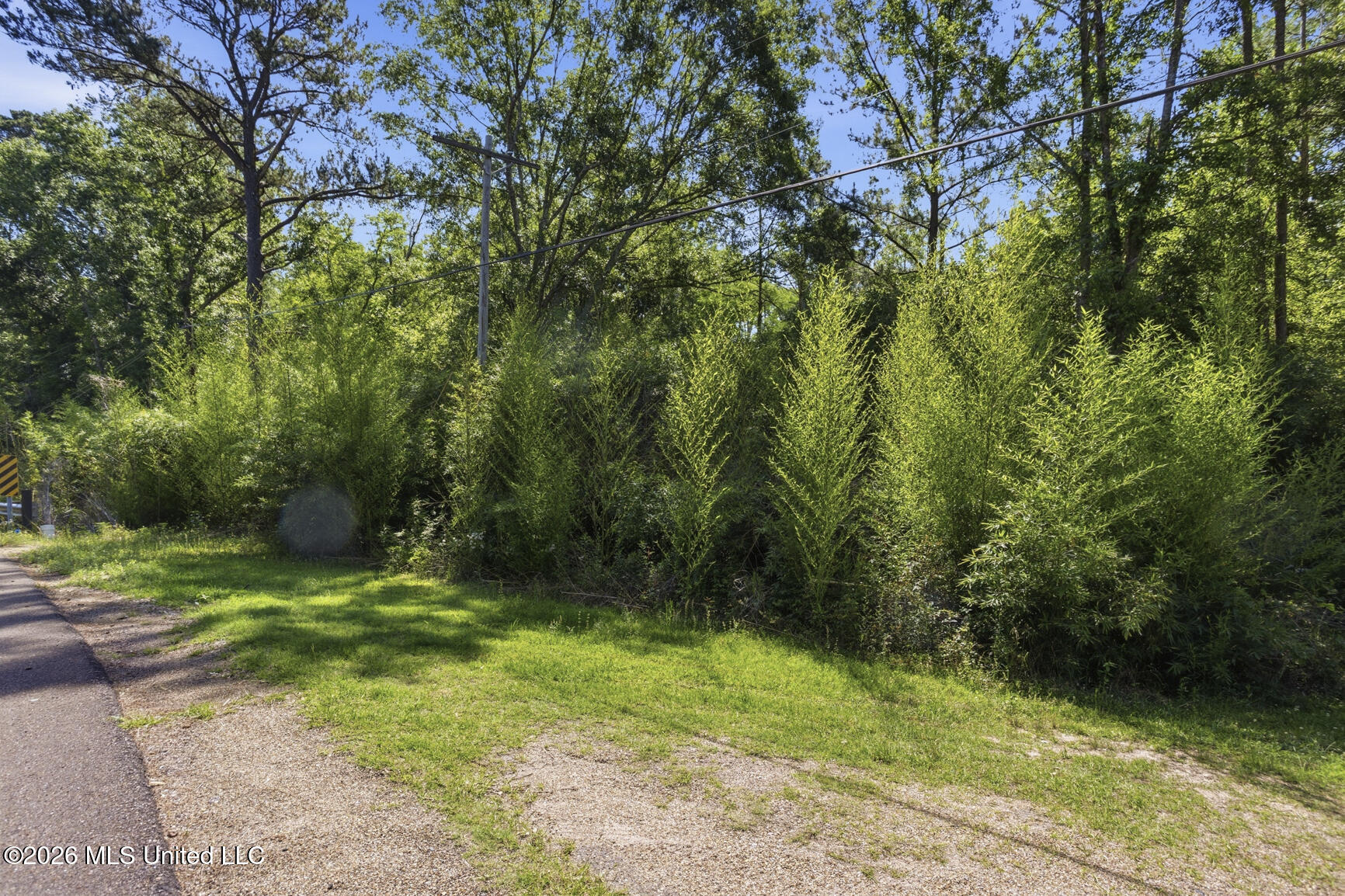 Dixie Avenue Property Photo 5