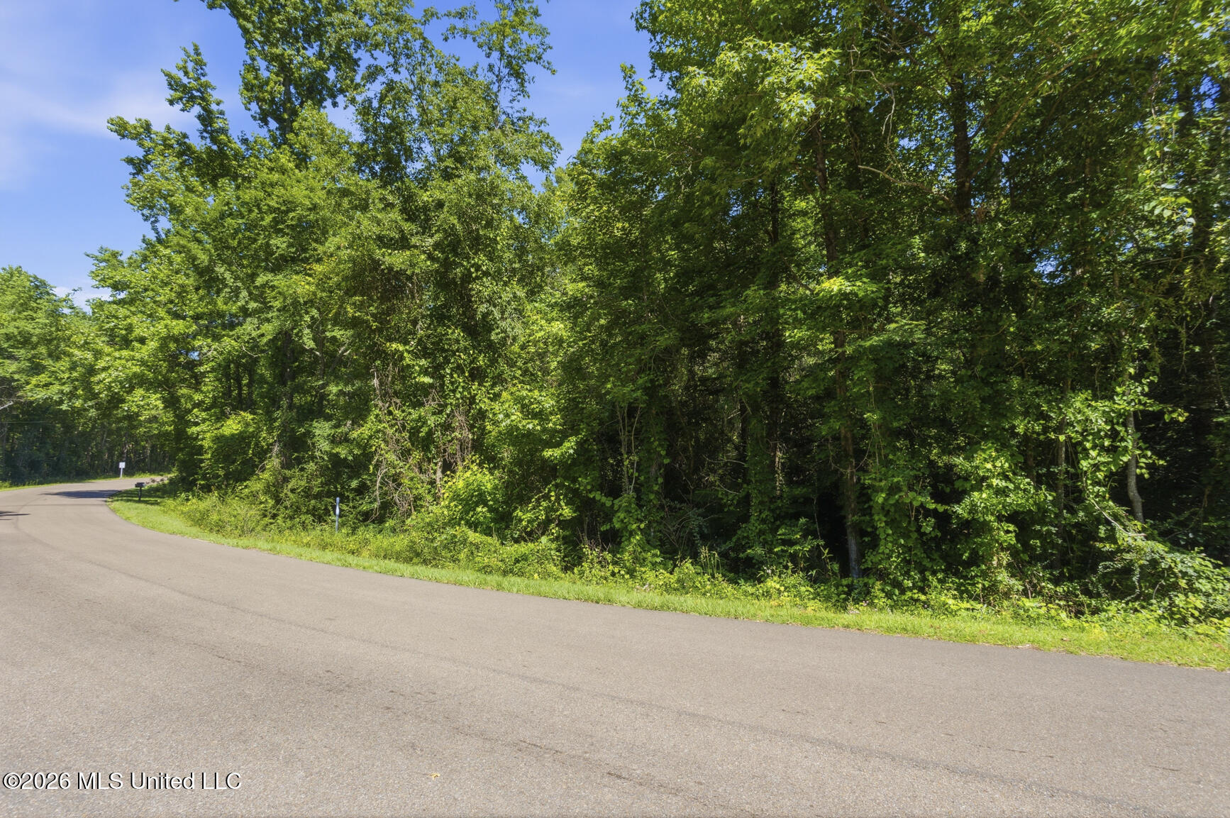 Dixie Avenue Property Photo 6