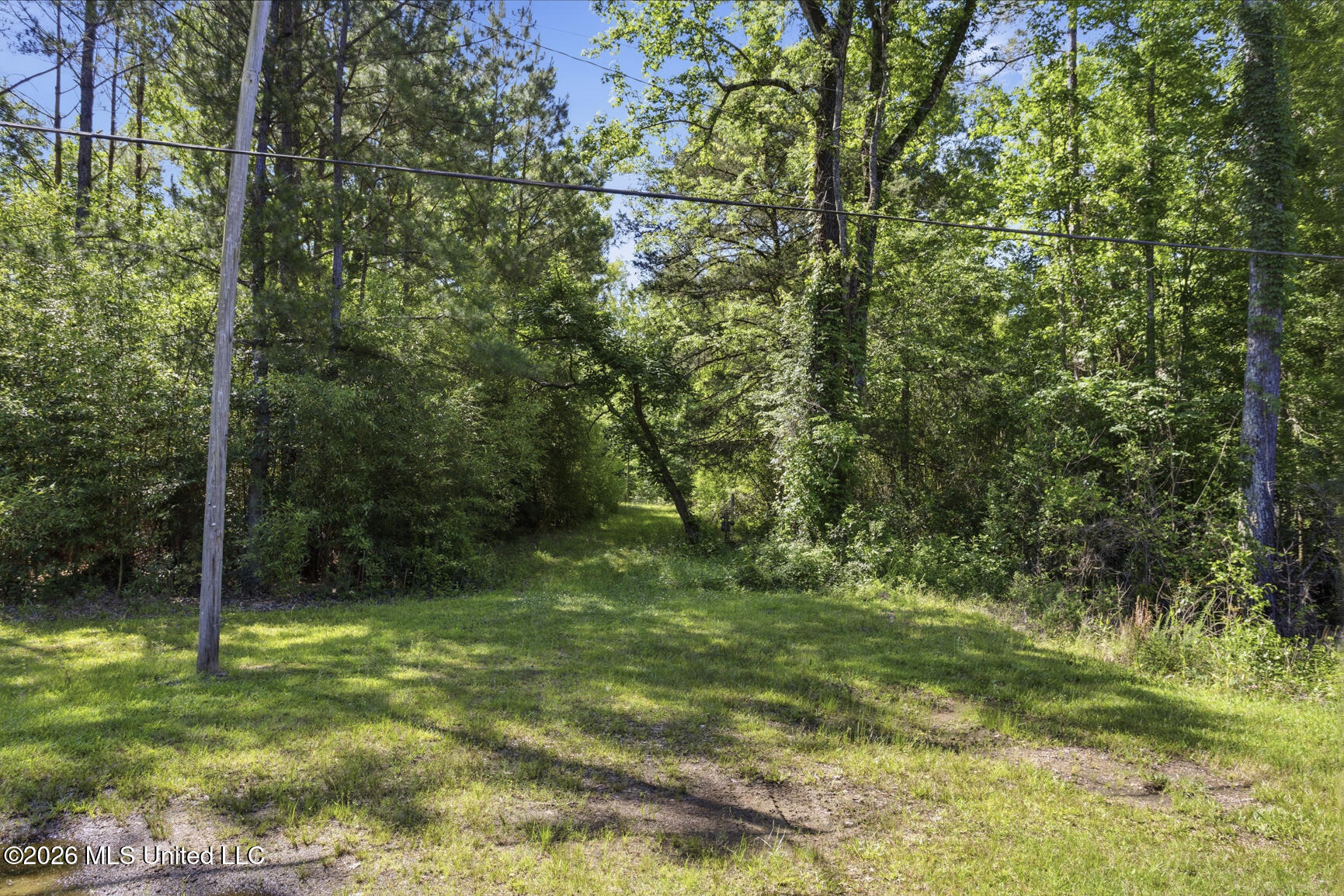 Dixie Avenue Property Photo 7