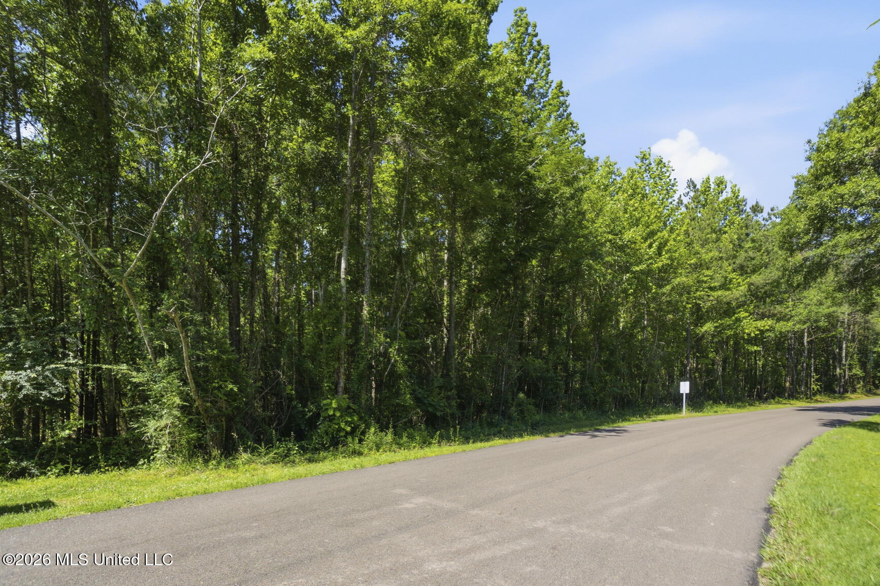 Dixie Avenue Property Photo 8