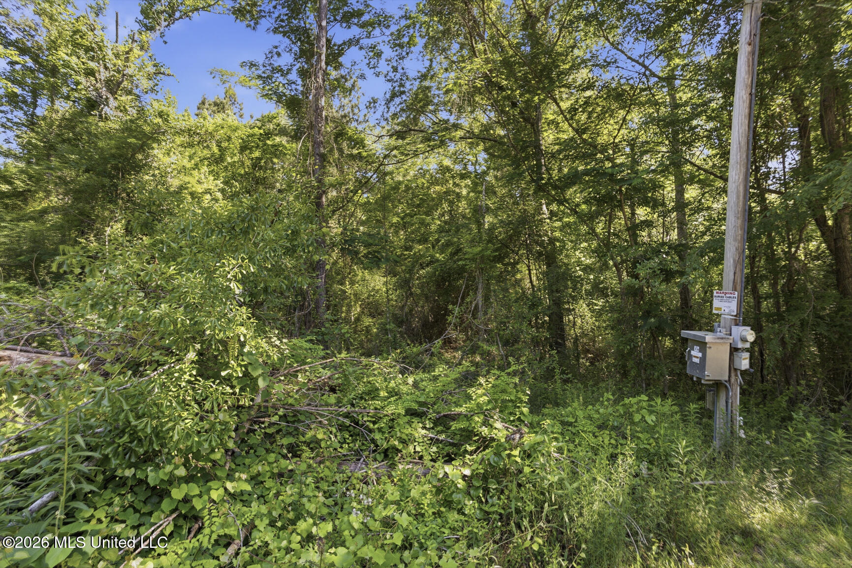Dixie Avenue Property Photo 9