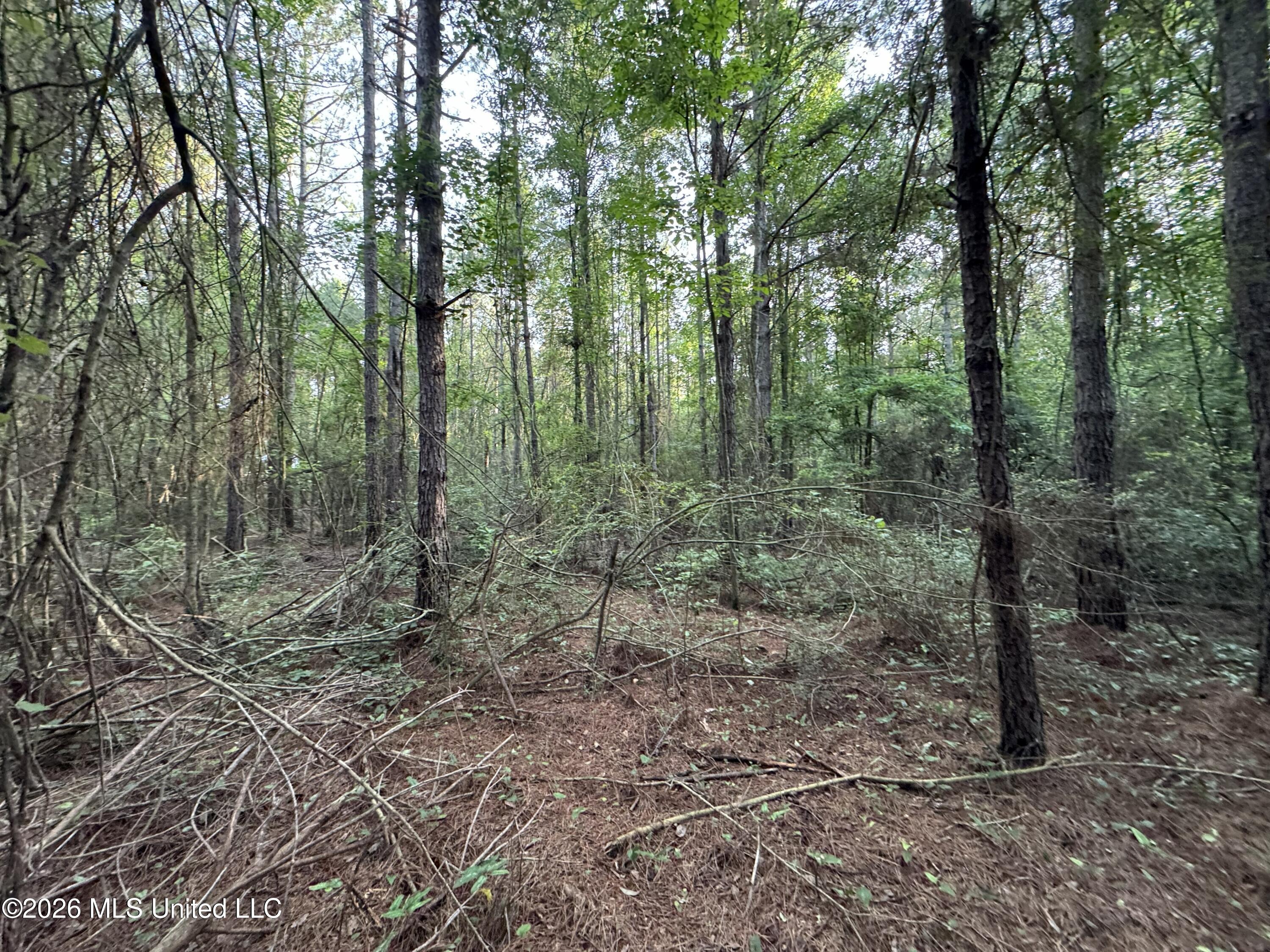 N Lot 3 River Road Property Photo 2