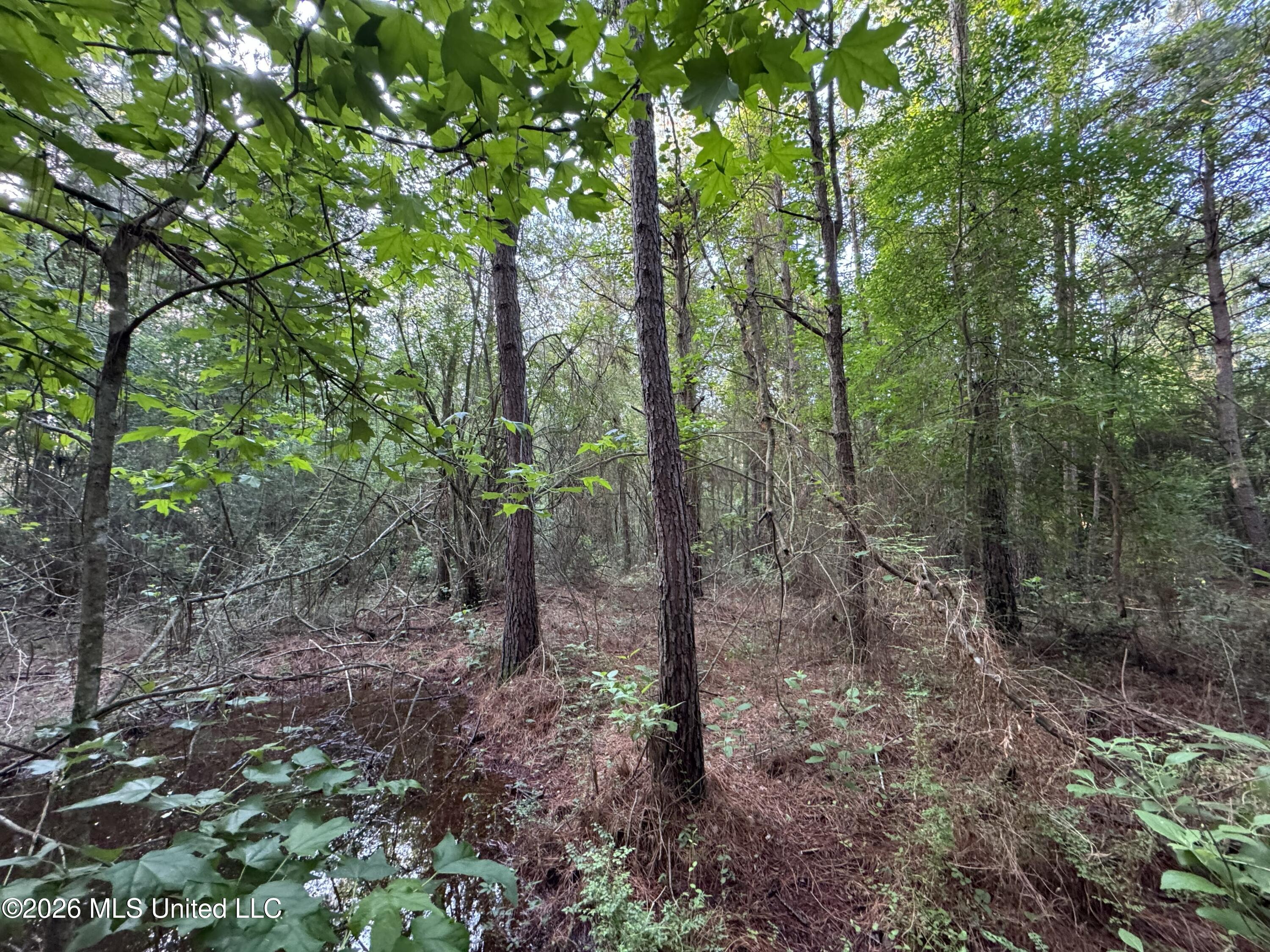 N Lot 3 River Road Property Photo 4