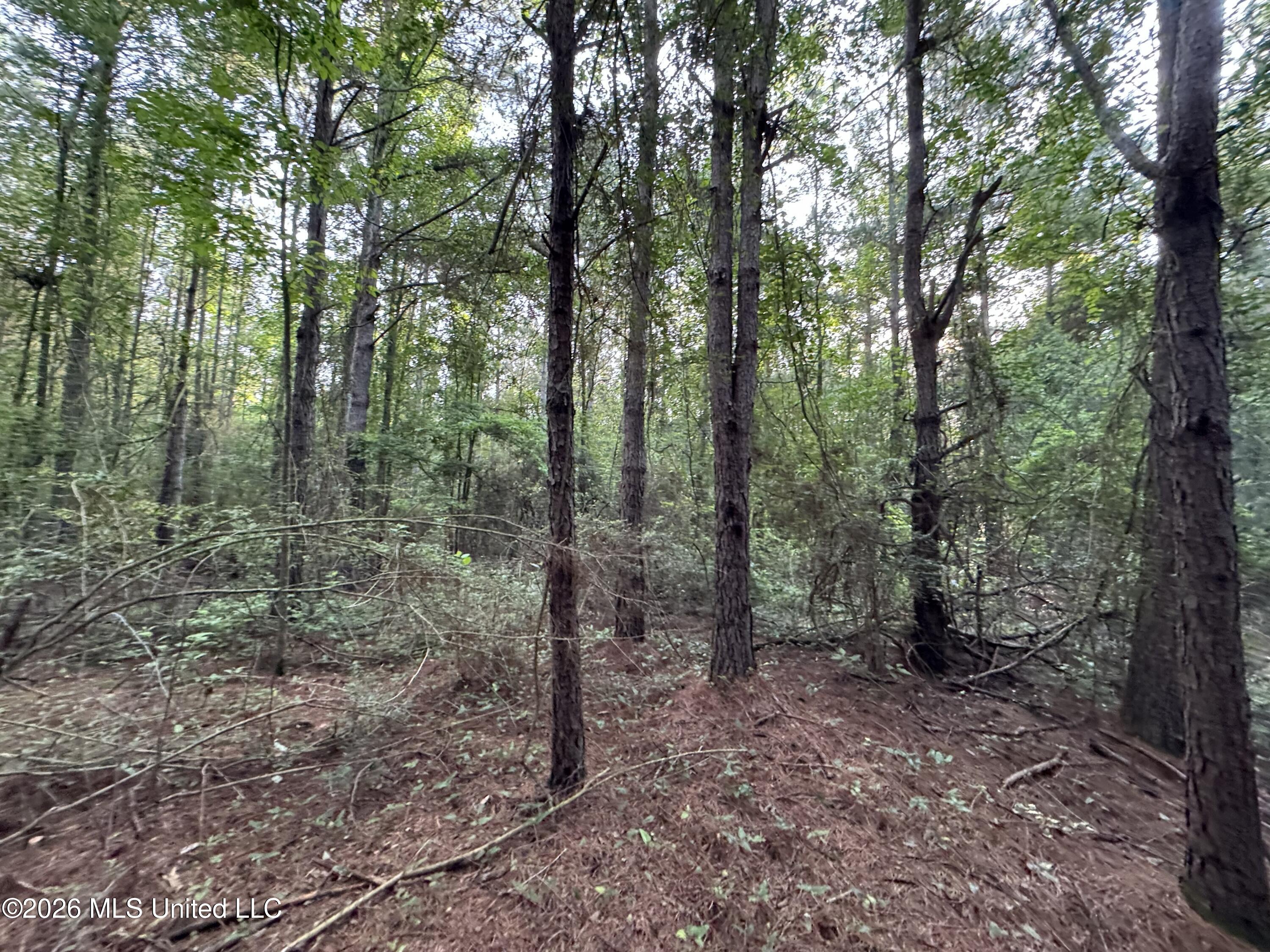N Lot 3 River Road Property Photo 6