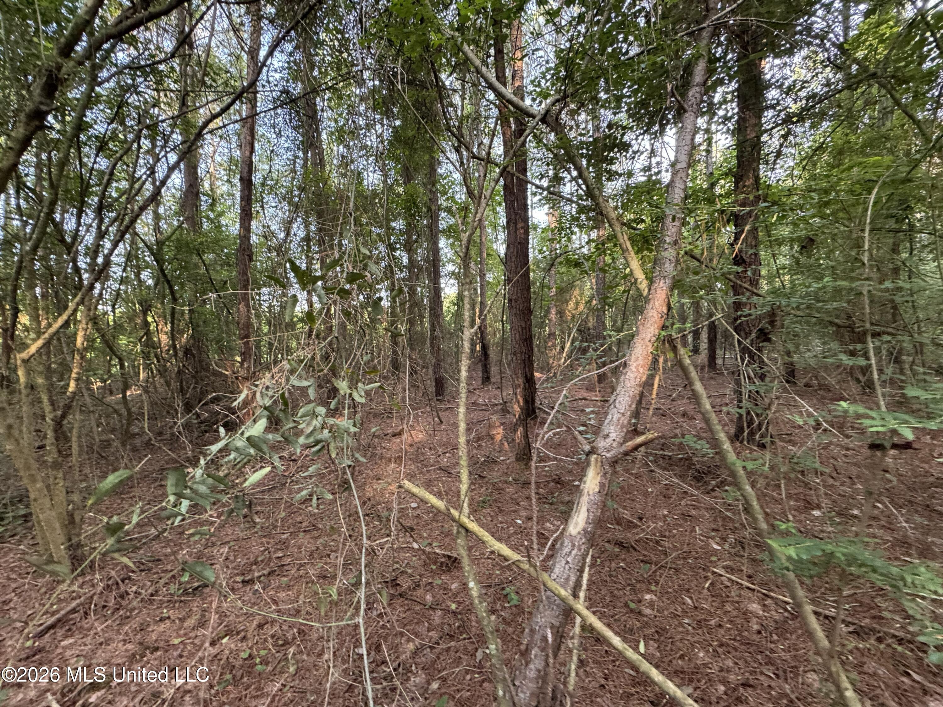 N Lot 3 River Road Property Photo 9