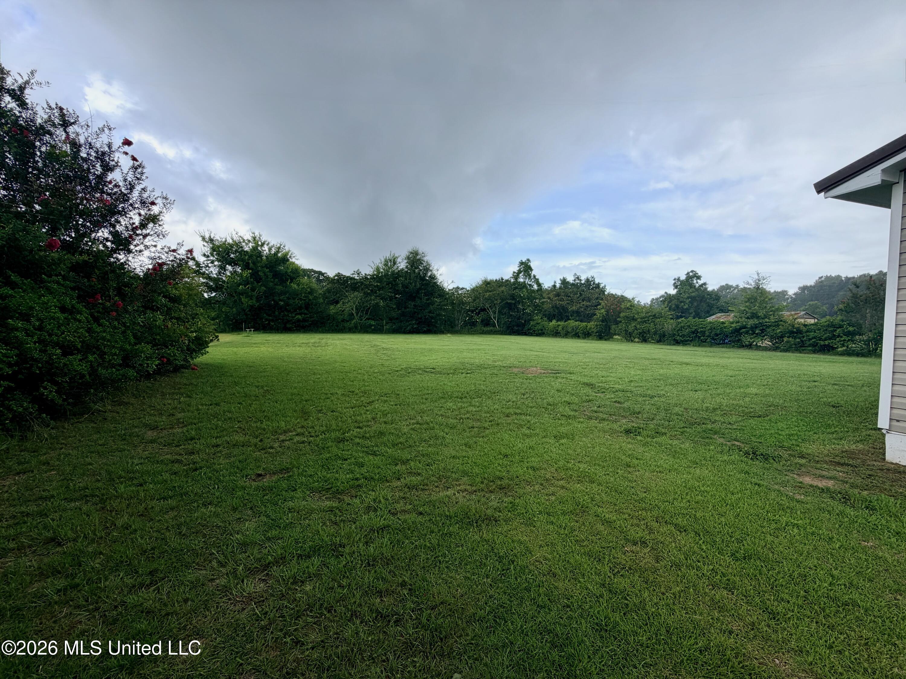 184 Brushy Creek Road Property Photo 3