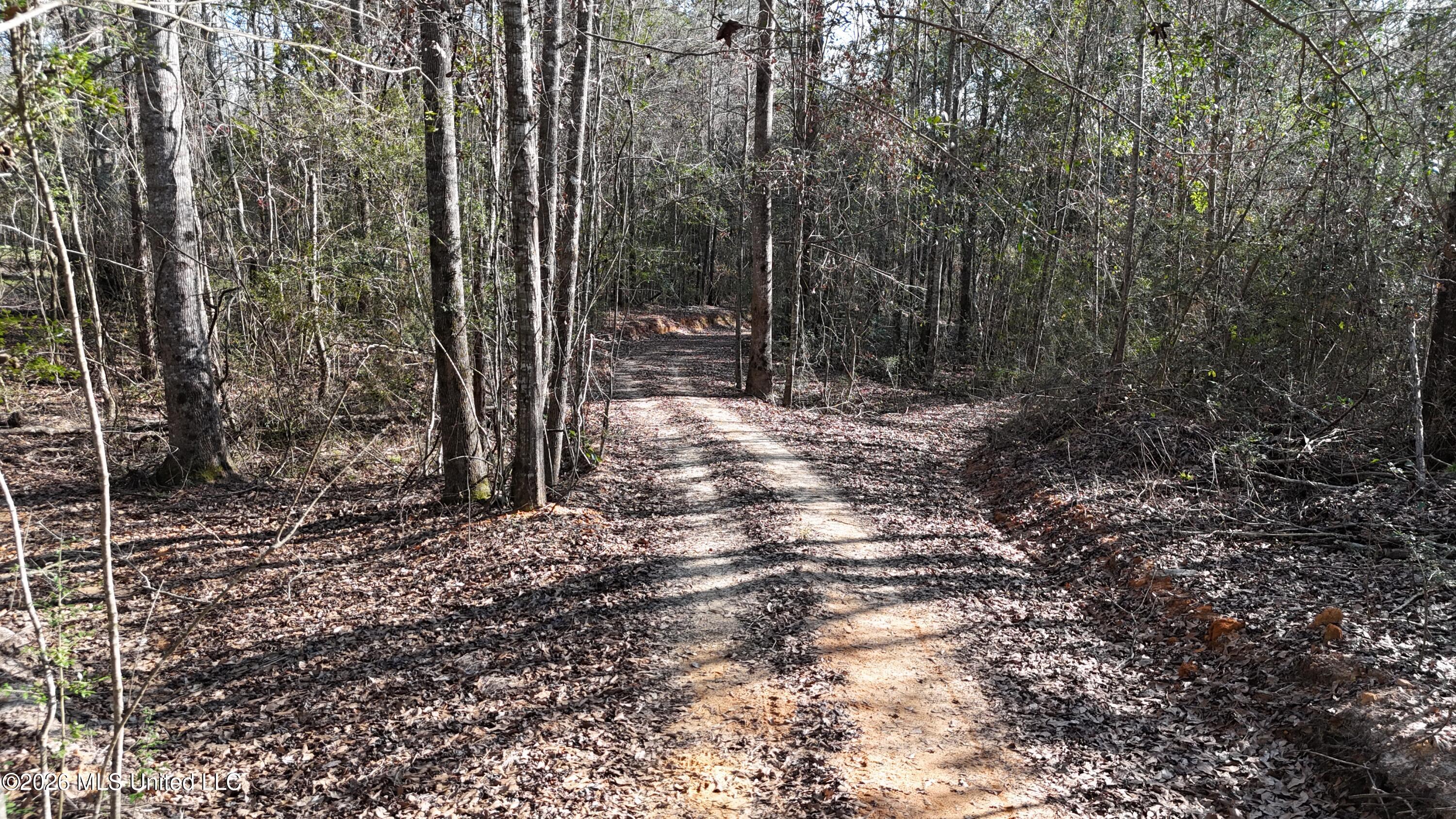 1771 Ridge Road Property Photo 24