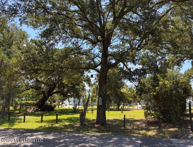 722 2nd Street Property Photo 6