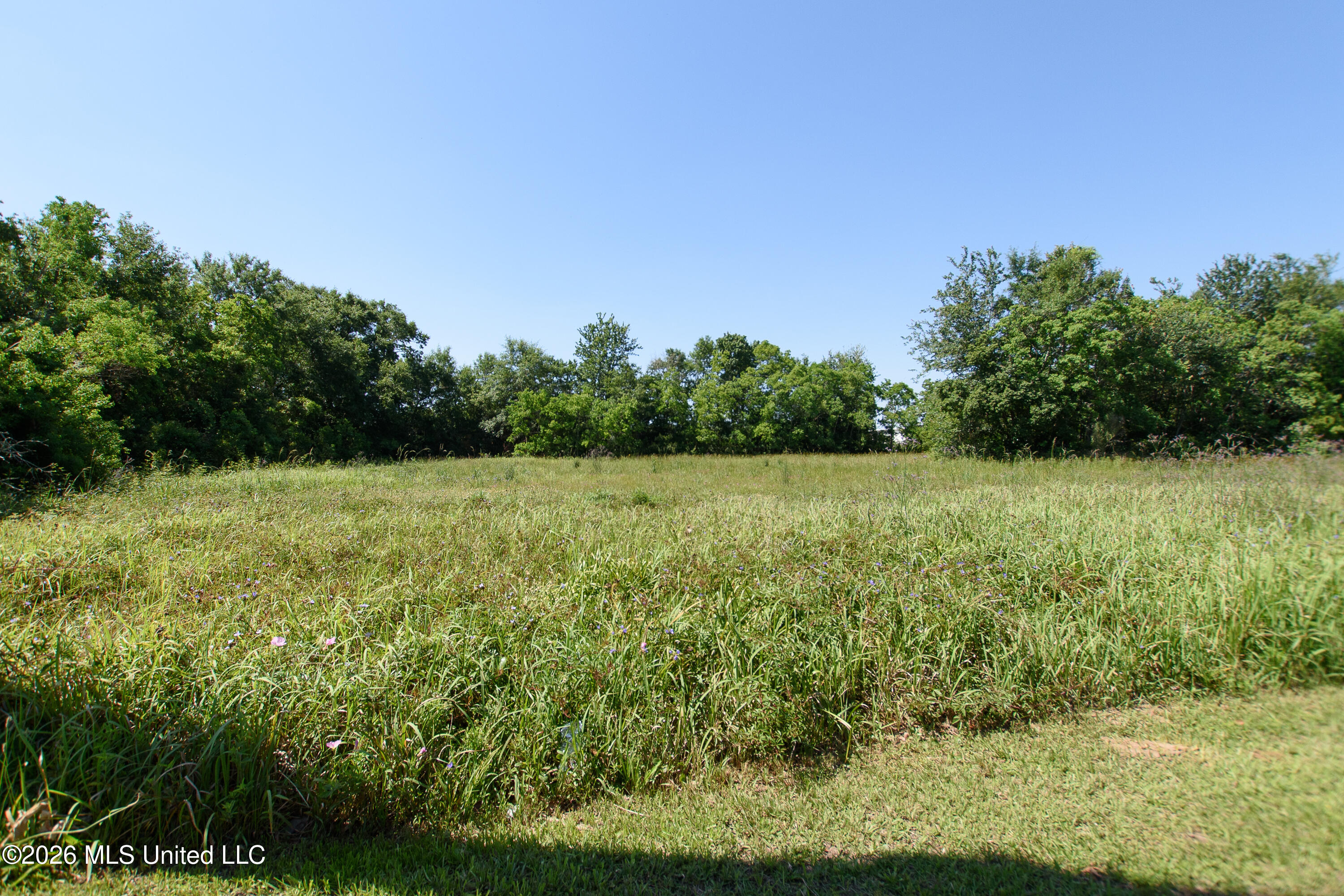 E Krebs Avenue Property Photo 3