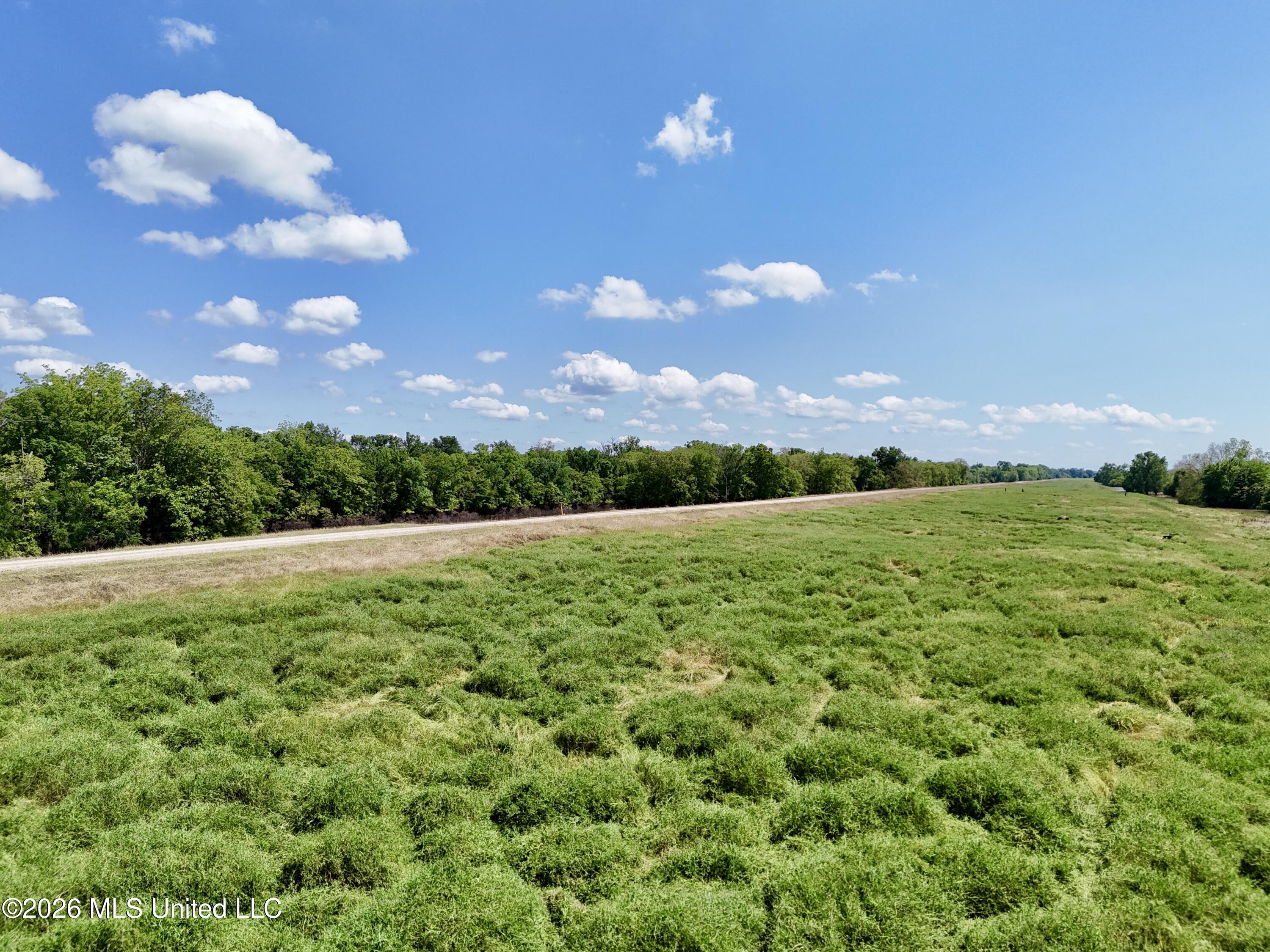 00002 Levee Maintenance Road Property Photo 6