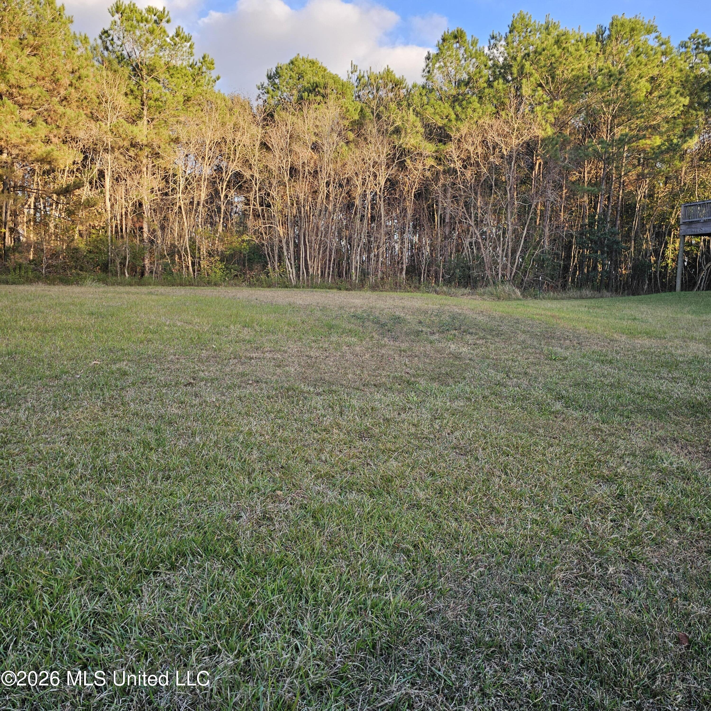 6010 Crescent Shore Drive Property Photo 1