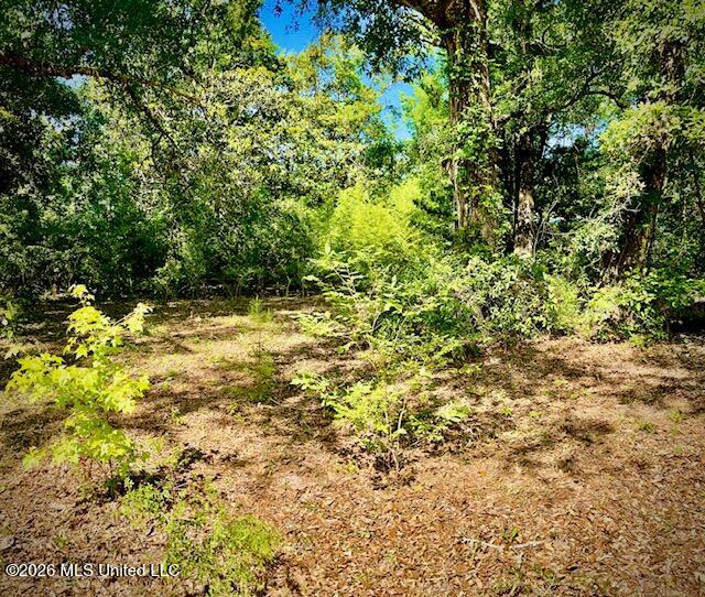 2718 Brumbaugh Road Property Photo 4
