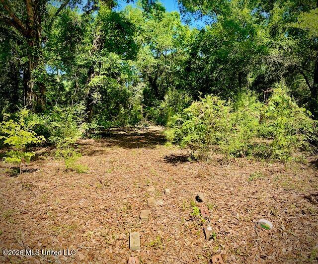 2718 Brumbaugh Road Property Photo 4