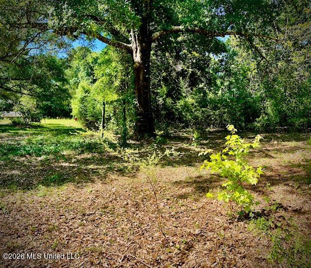 2718 Brumbaugh Road Property Photo 5