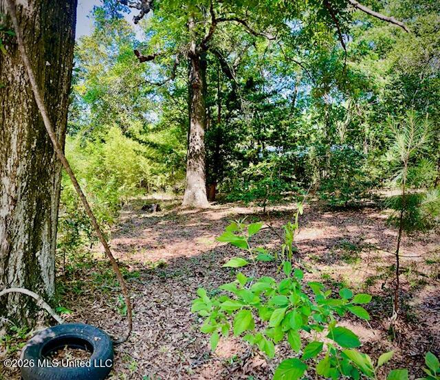 2718 Brumbaugh Road Property Photo 6
