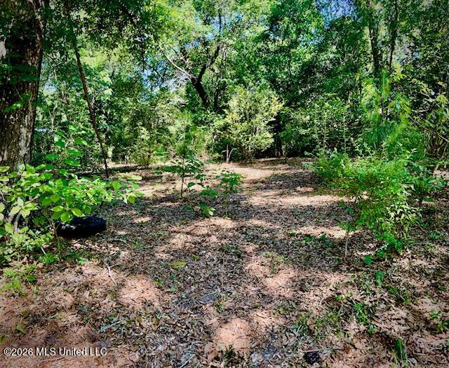2718 Brumbaugh Road Property Photo 6