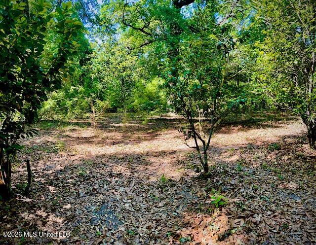 2718 Brumbaugh Road Property Photo 7