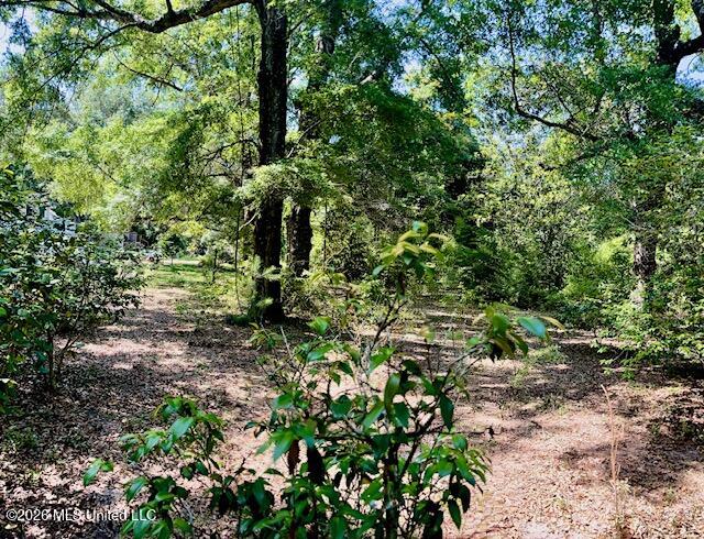 2718 Brumbaugh Road Property Photo 8