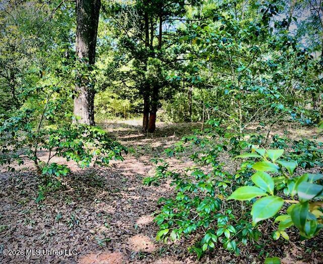 2718 Brumbaugh Road Property Photo 9