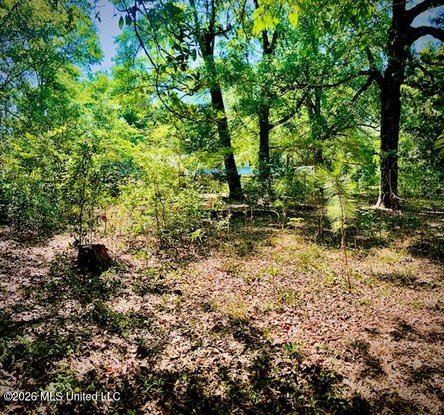 2718 Brumbaugh Road Property Photo 10