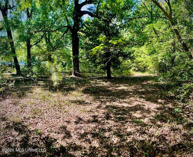 2718 Brumbaugh Road Property Photo 11