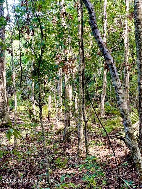 2718 Brumbaugh Road Property Photo 15