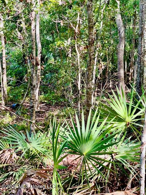 2718 Brumbaugh Road Property Photo 16