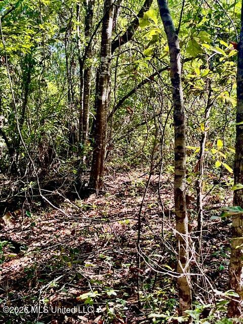 2718 Brumbaugh Road Property Photo 17