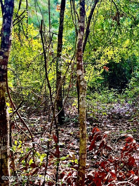 2718 Brumbaugh Road Property Photo 18