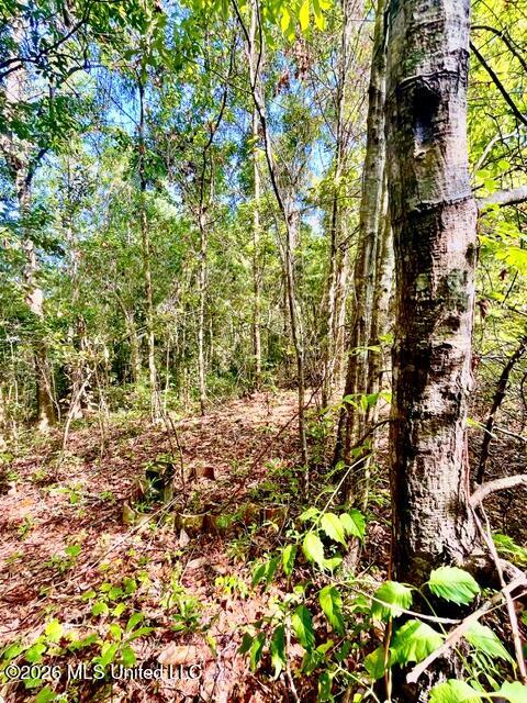 2718 Brumbaugh Road Property Photo 19