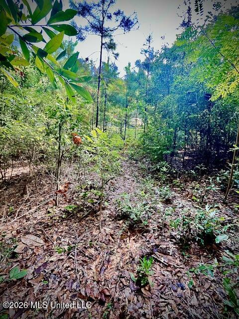 2718 Brumbaugh Road Property Photo 20