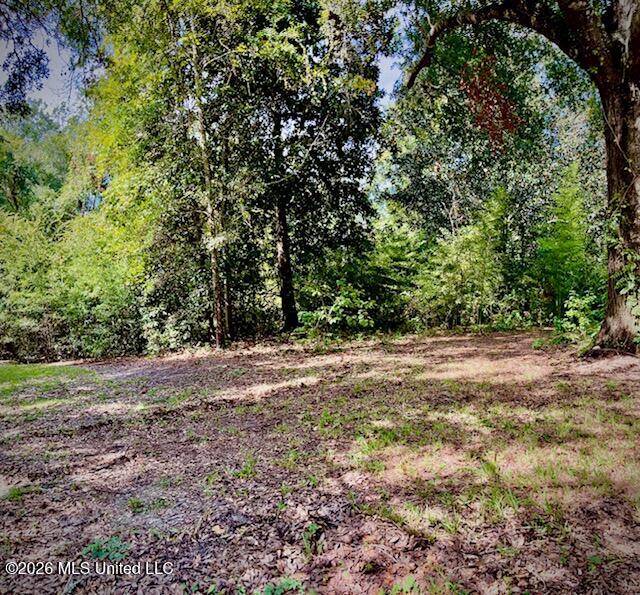 2718 Brumbaugh Road Property Photo 23