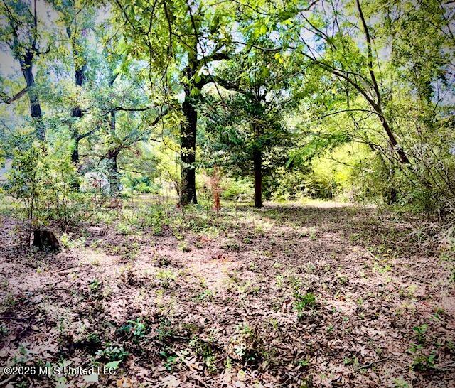 2718 Brumbaugh Road Property Photo 24