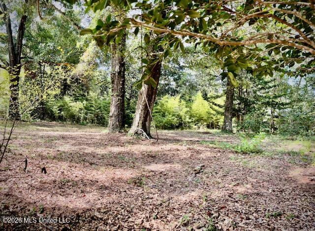 2718 Brumbaugh Road Property Photo 25