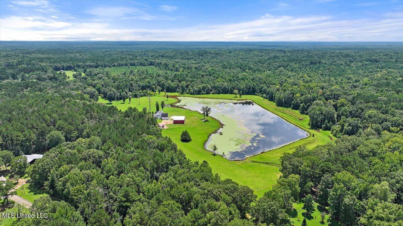 297 Barnes Road Property Photo 115