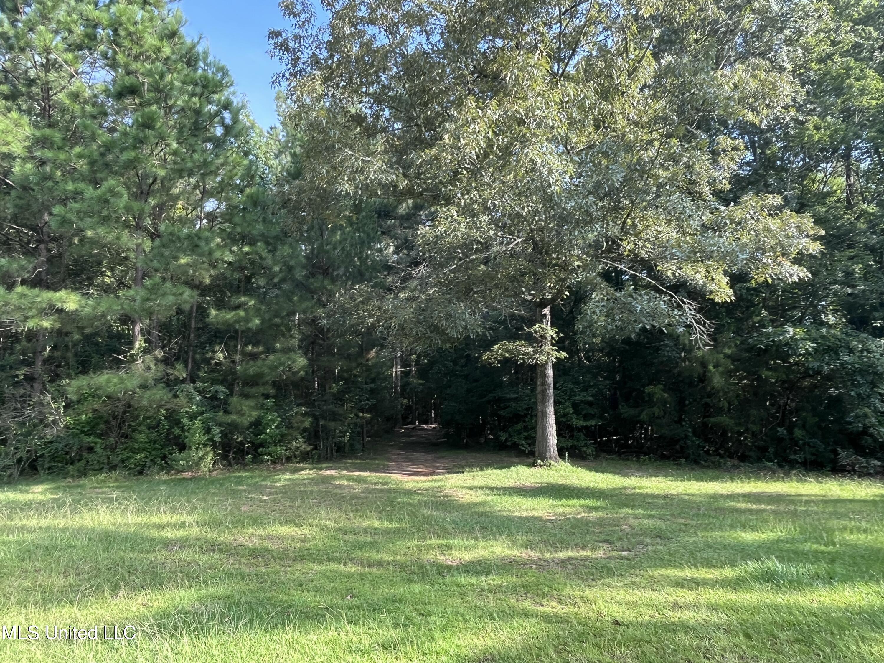 297 Barnes Road Property Photo 137