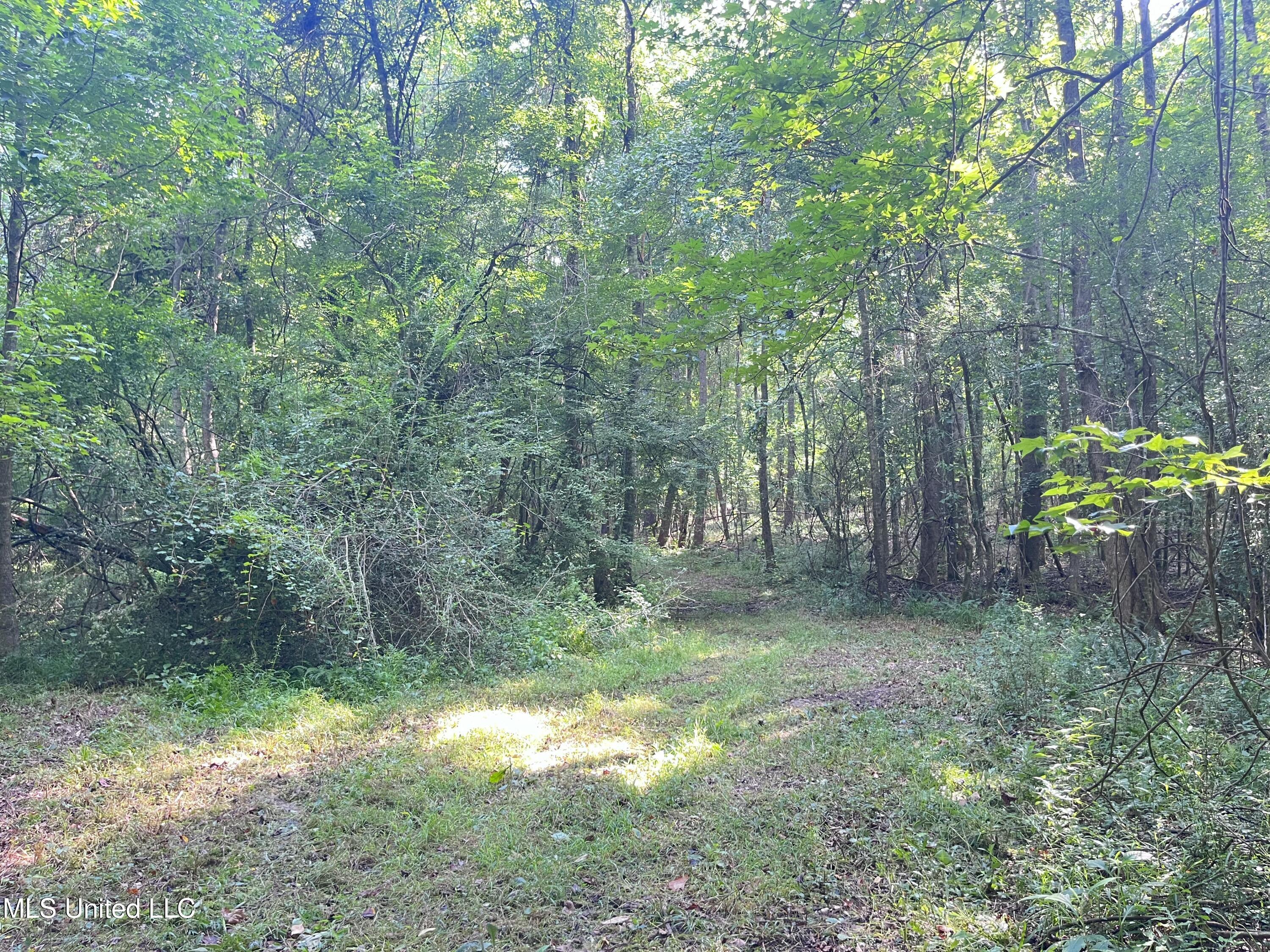 297 Barnes Road Property Photo 162