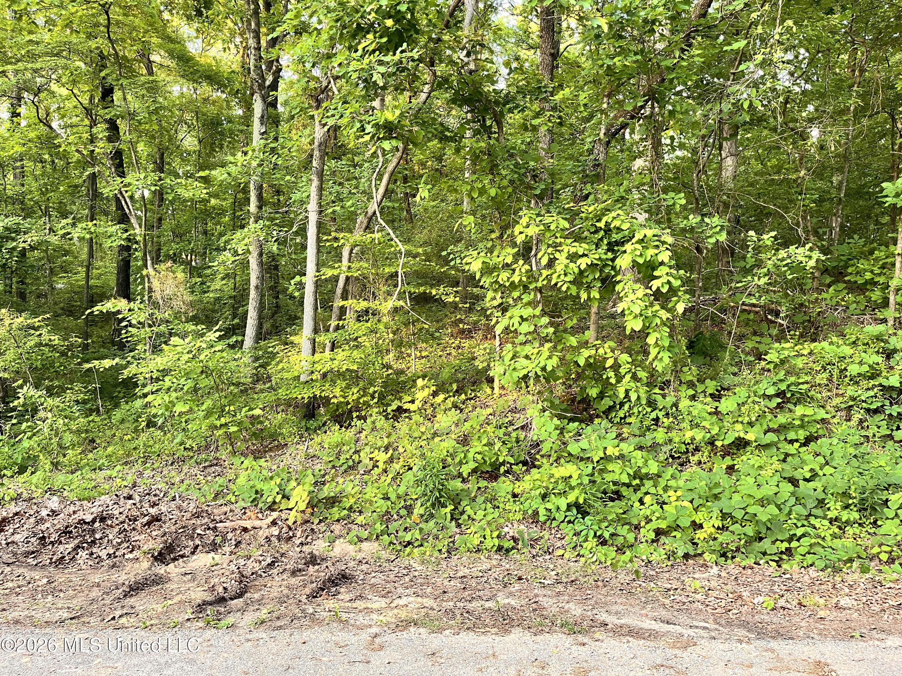 0 Snow Lake Drive Property Photo 2