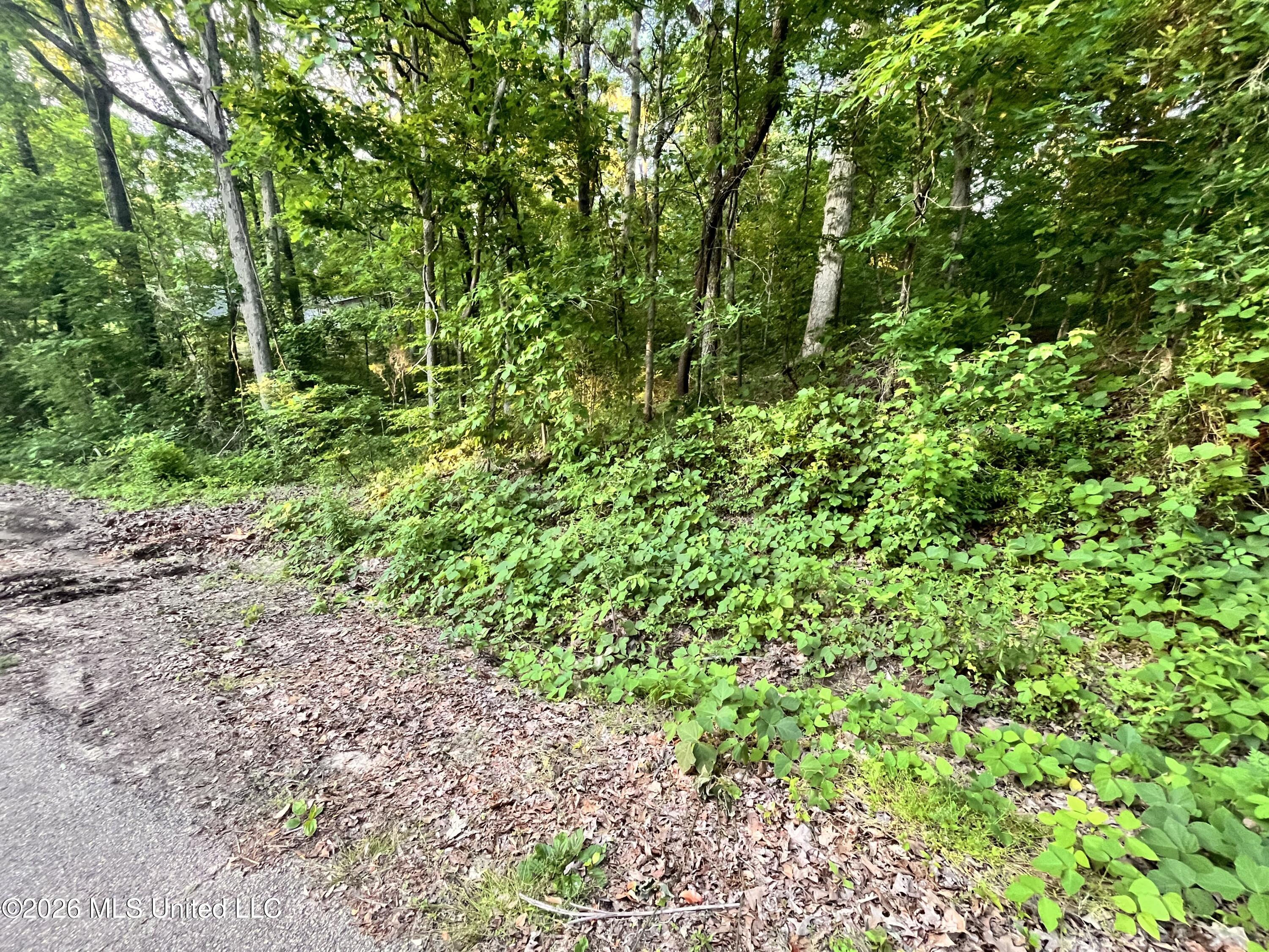 0 Snow Lake Drive Property Photo 3