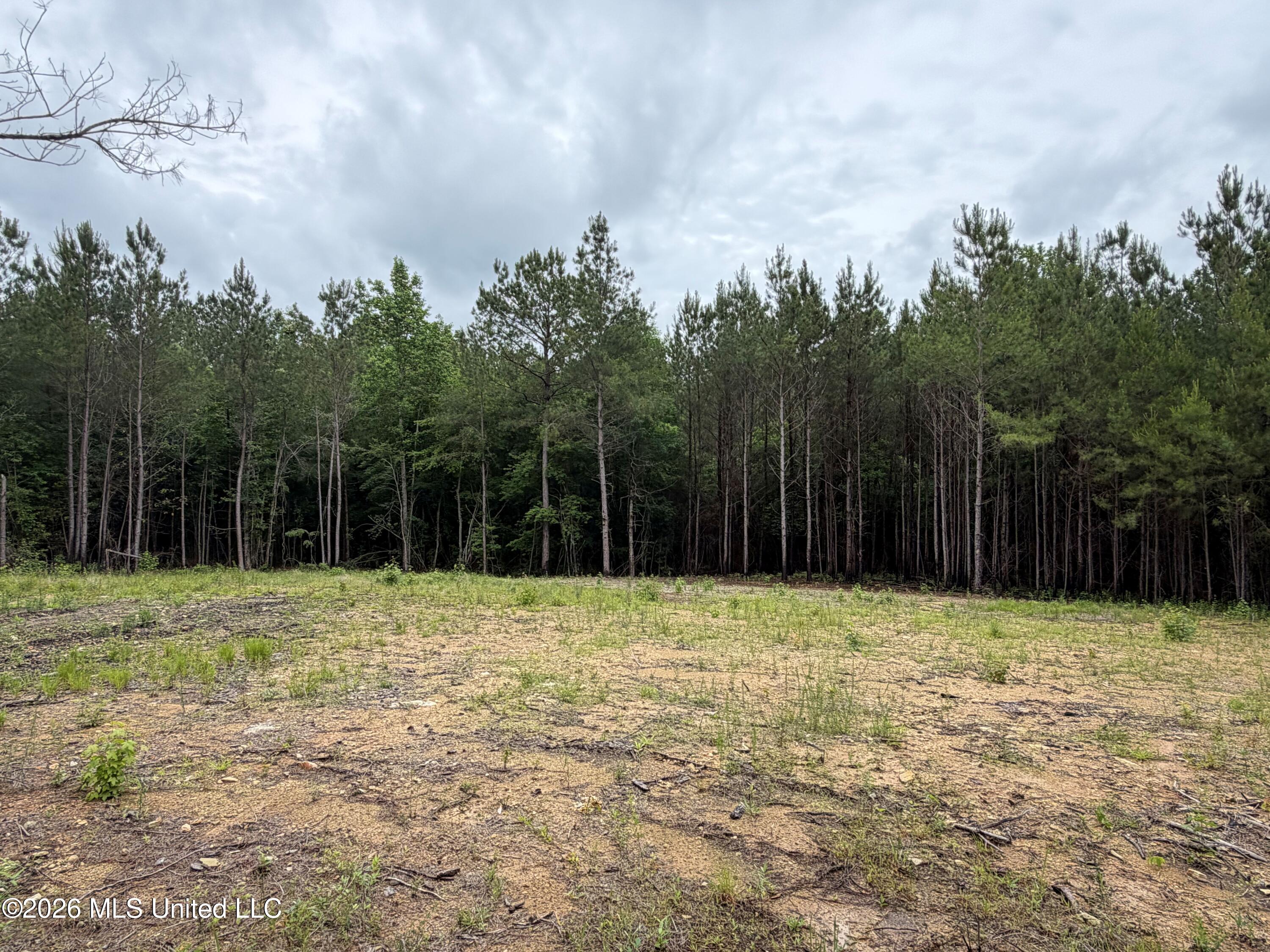 157 Walker Bottom Road Property Photo 2