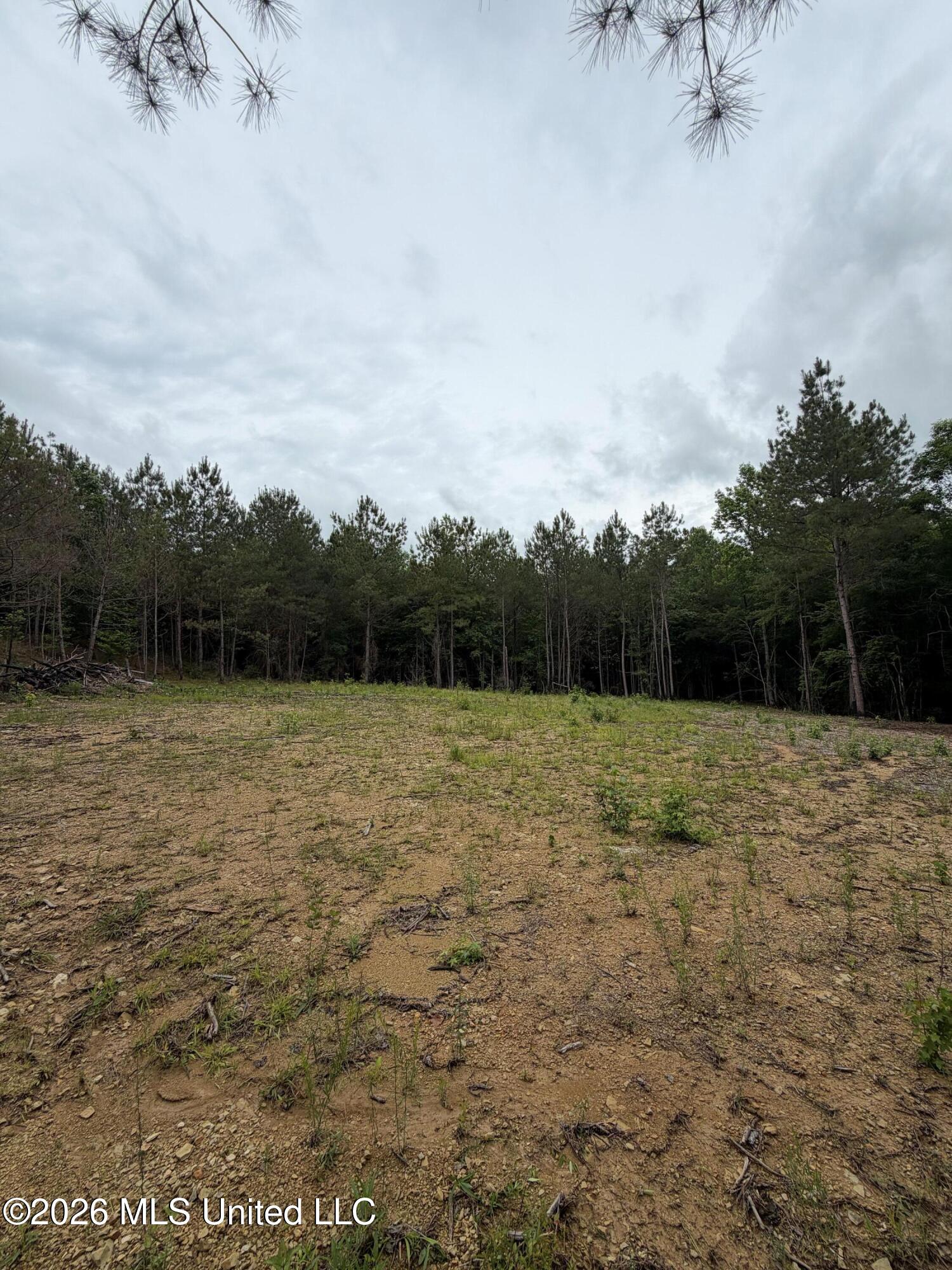 157 Walker Bottom Road Property Photo 6