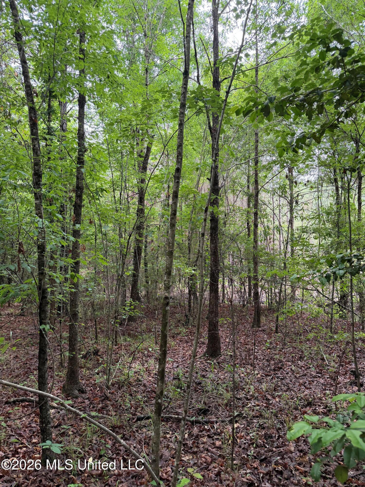 157 Walker Bottom Road Property Photo 8