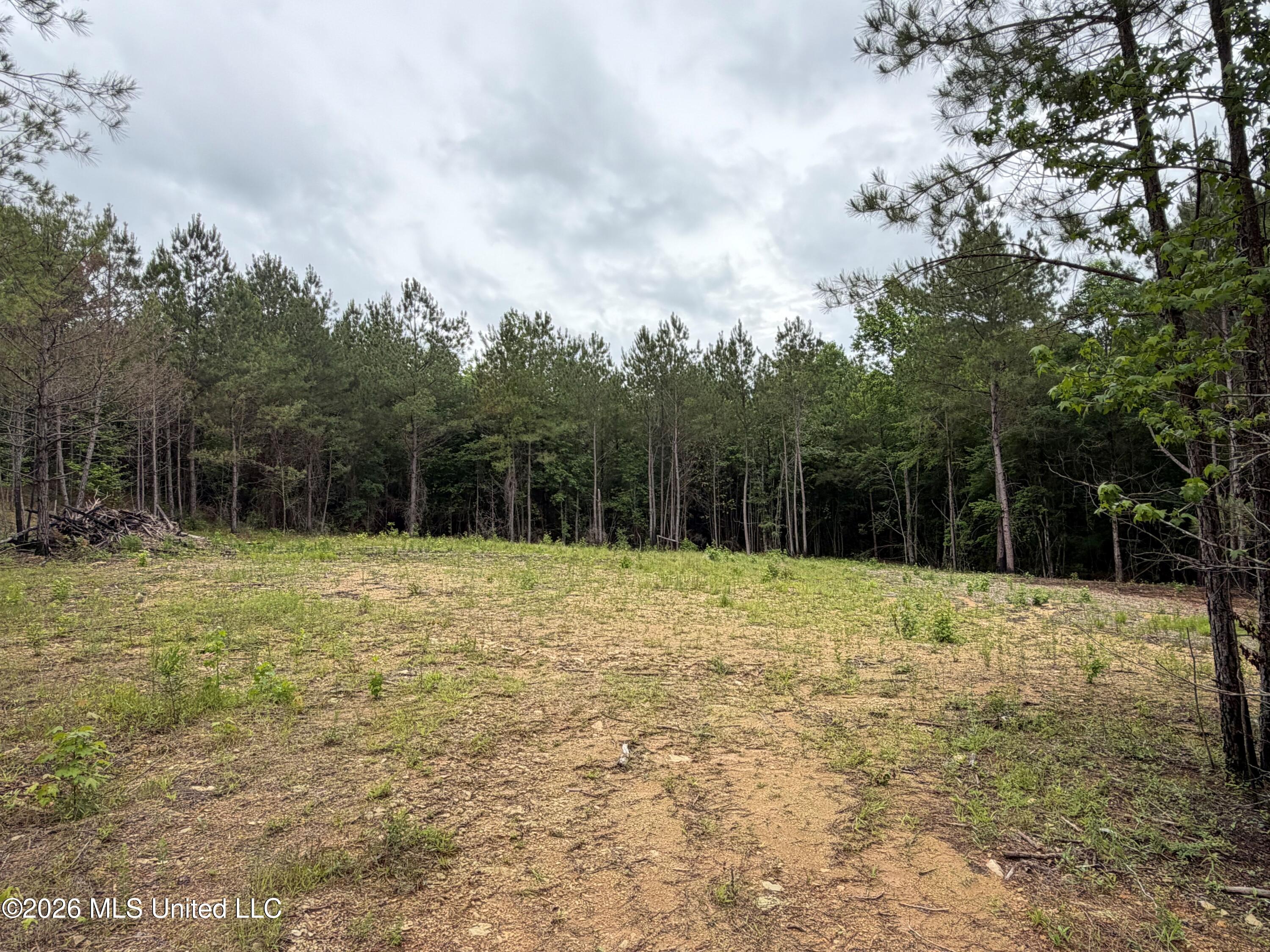 157 Walker Bottom Road Property Photo 10