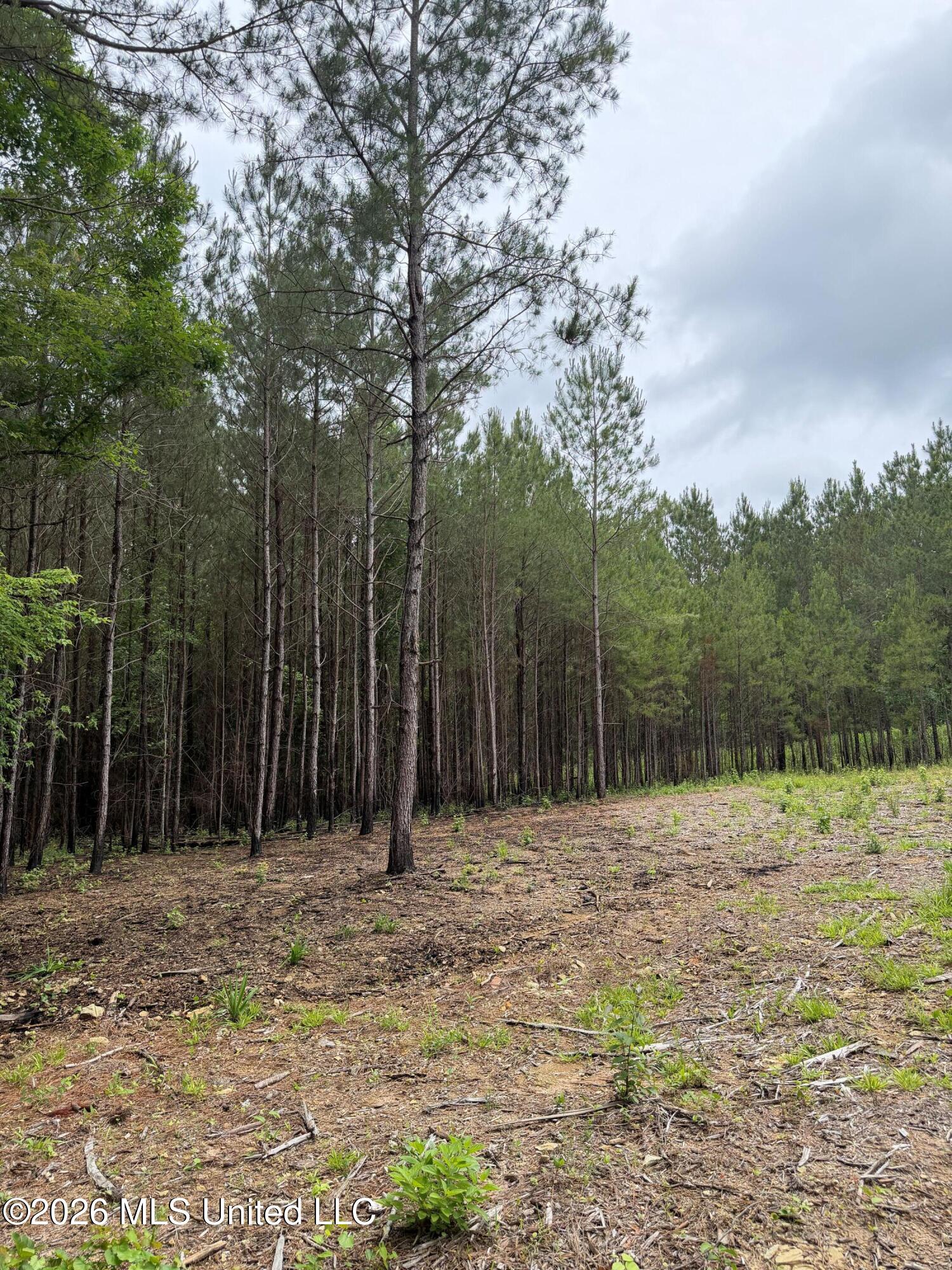 157 Walker Bottom Road Property Photo 11